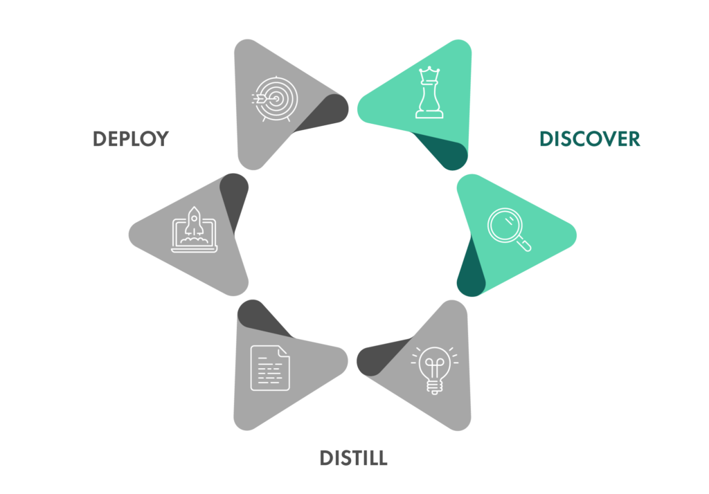 SUN Framework graphic - Step 1 - Discover